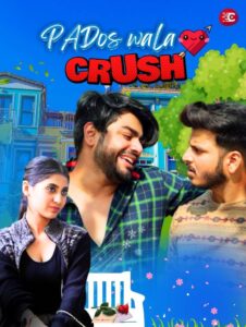 pados wala crush verticle